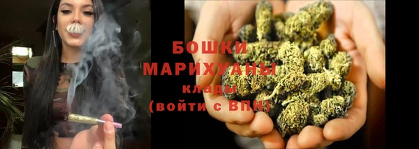 PSILOCYBIN Ростов