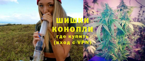 МДПВ Рославль