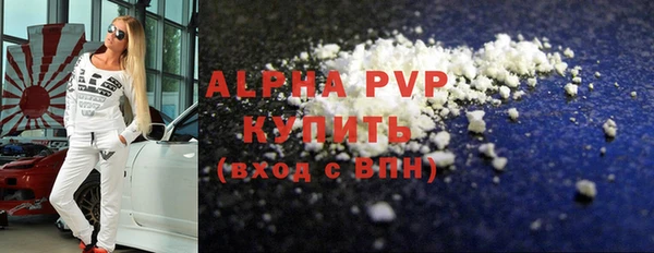 PSILOCYBIN Ростов